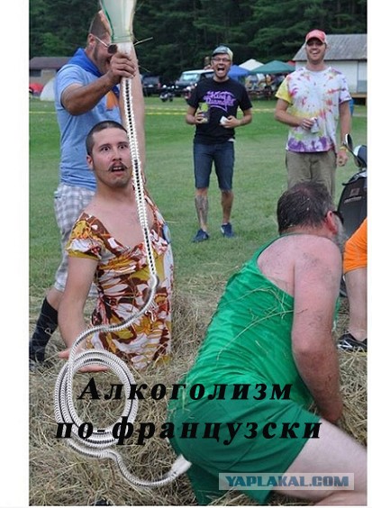 Мой друг нашел картошку!