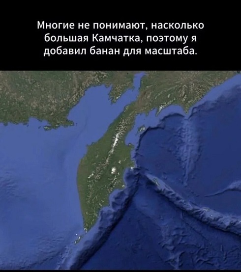 Папа, а кто такой диктатор?
