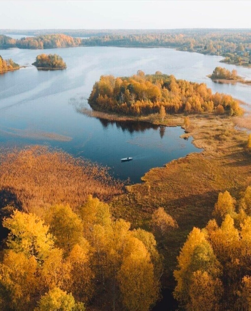 Так всякие картинки