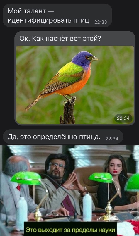 Картинки для деградации 90 (разной степени свежести)