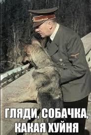 14-летнюю исламистку из Падерборна изолируют в контейнере. 50 психиатрических лечебниц отказались её принимать.