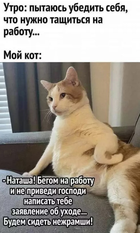 Картиночки, баянчики 14 марта