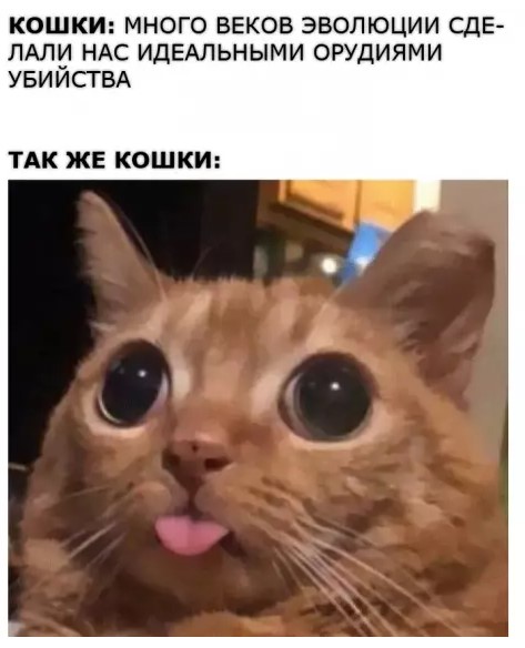 Пакет брать будете?
