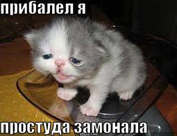 Кто бухает?