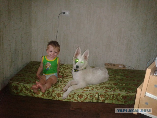 А ну пальцы убрал! Быстро!