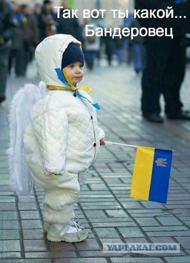 Мнение жительницы Симферополя о референдуме