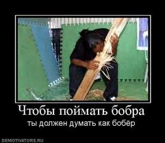 Папа норка, мама бобер!