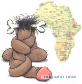 У кого на свете всех длиннее?