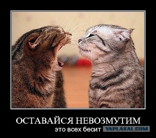 Тошнотикам из левого ряда