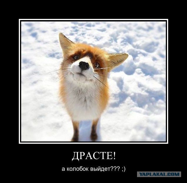 Веселые картинки