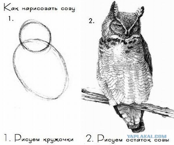 Красота в бутылке