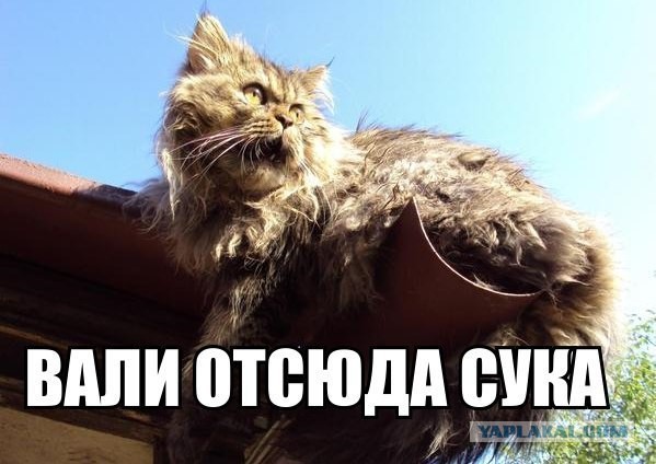 Новости Украины.