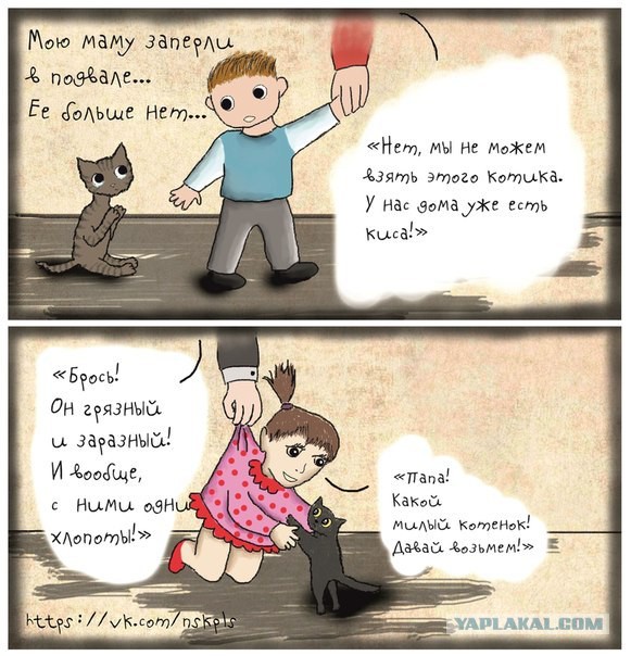 Кастрация кошек и котов