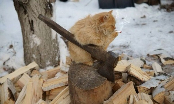 Падение гиганта