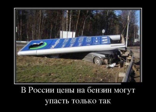 Веселости попавшиеся на сегодня