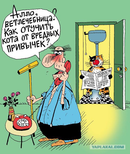 Добрые карикатуры из Синеокой.