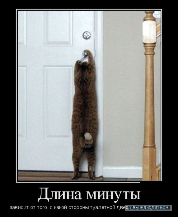 Демотиваторы 30
