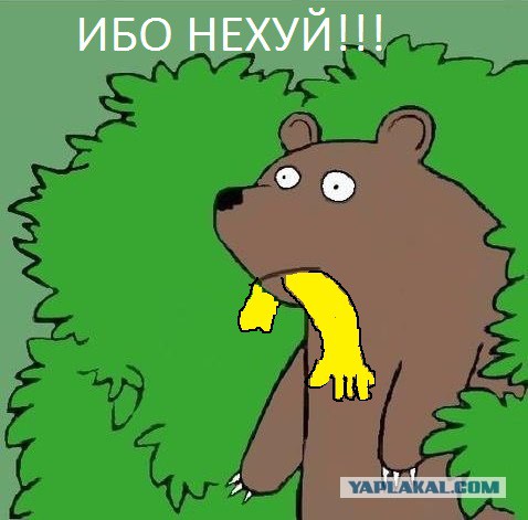 Муж искалеченной медведем томички подал на развод