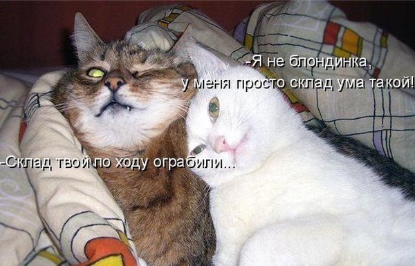 Взаимоотношения полов...