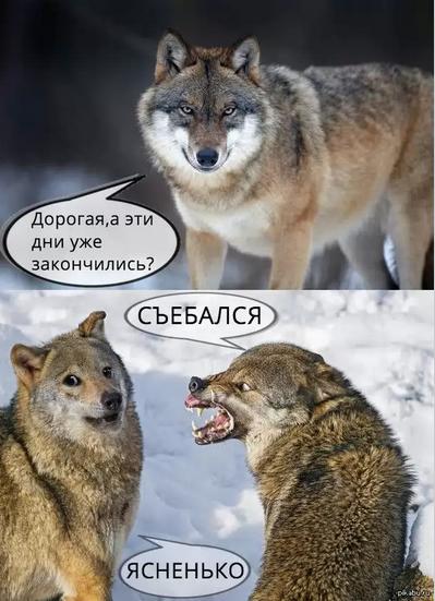 ПМС у женщин странный предмет.