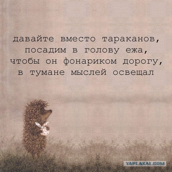Немного позитива