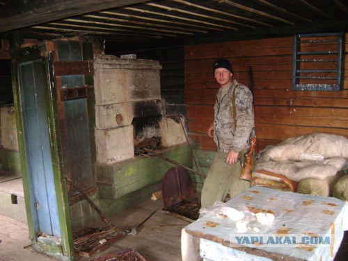 Веппский край, Южная тайга