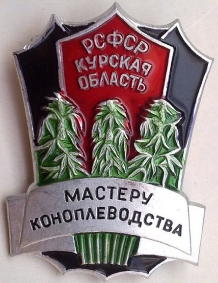 Конопля 36 лет назад