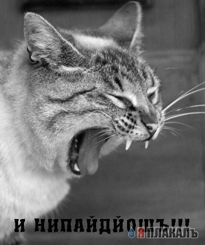 Уже да :) Ужо пятнецца...