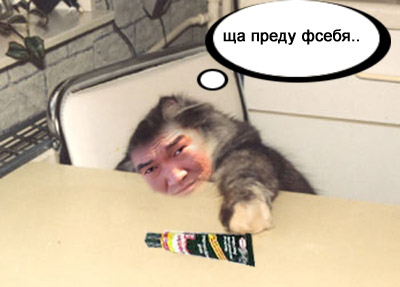 Фотожаба: Токежан и клей