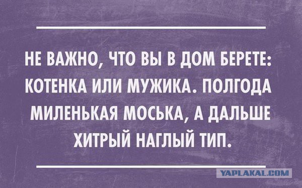 Смешные комментарии из социальных сетей 04.03.2016