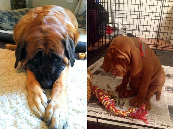 Подборка картинок на среду