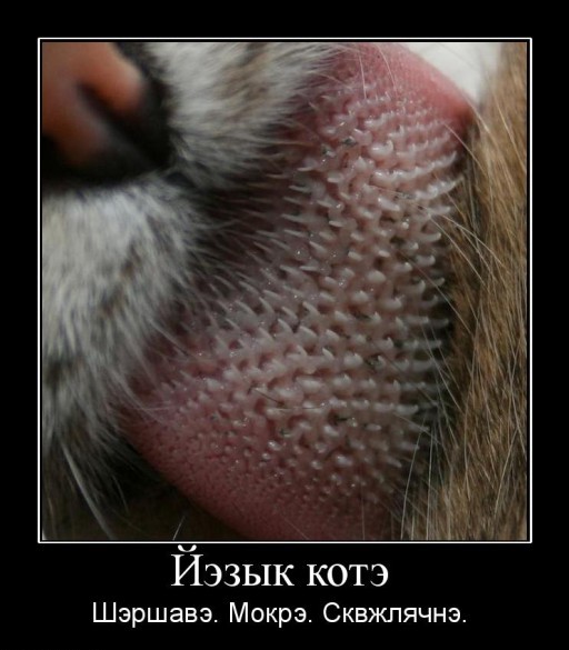 Улыбнись и расслабься