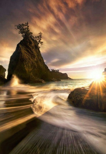 Подборка картинок 29.03.16