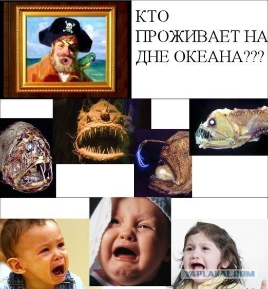 Чудовища с лампочками: самые пугающие и опасные обитатели дна океана
