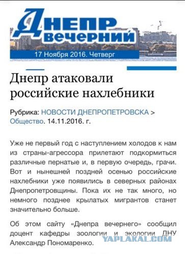 Смешные комментарии из социальных сетей 18.11.2016