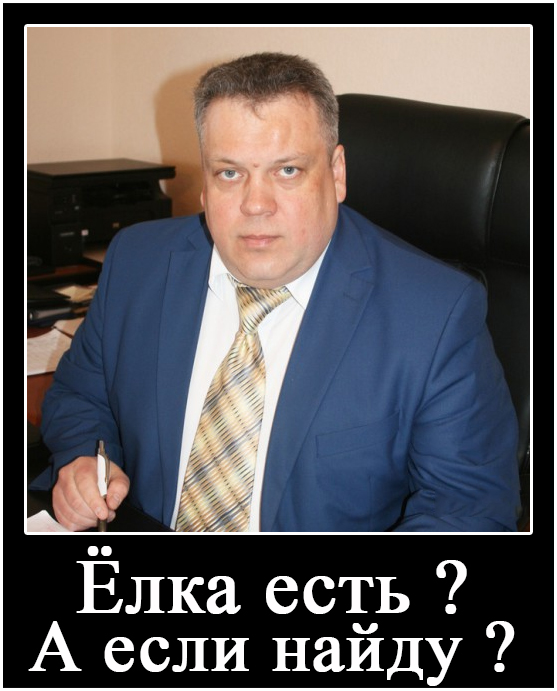 В Тюменском селе чиновники «добыли» новогоднюю елку в палисаднике у старушки