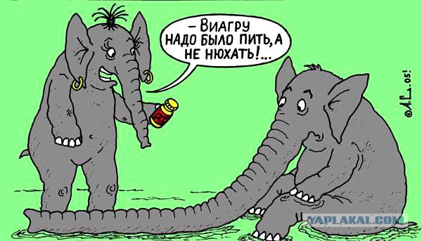 Не захотел