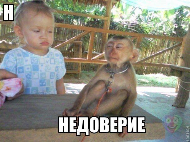 Прикольные картинки из соцсетей
