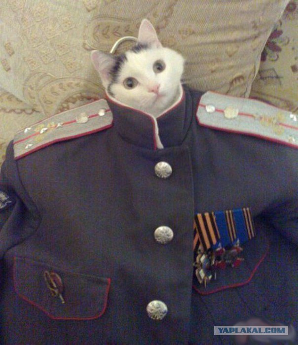 Порция воскресных картинок