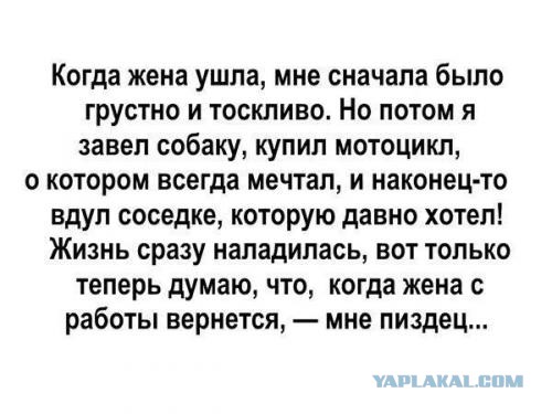 Чернь и деградация к выходным