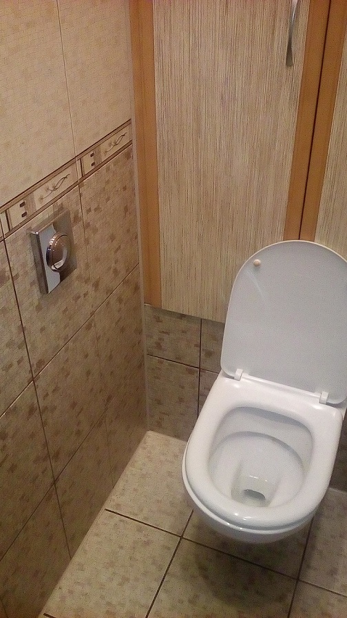 Про идею, двух сыновей, жену, котэ... и не только