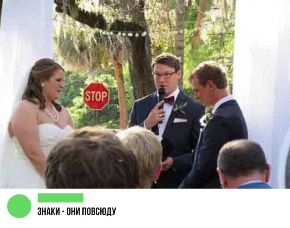 Немного картинок в эту пятницу