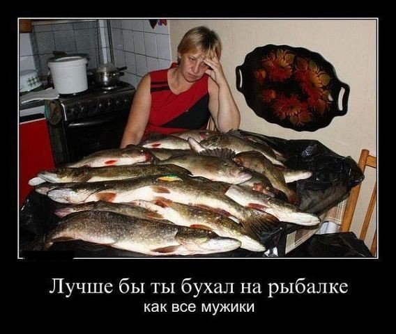 Они там что, плёнку проявляют?