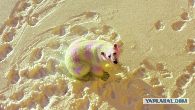 Скайлеб, очередной блеф от НАСА и прочие их фейки