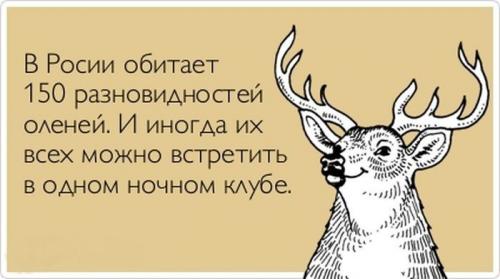 Немного веселых картинок из этих наших интернетов