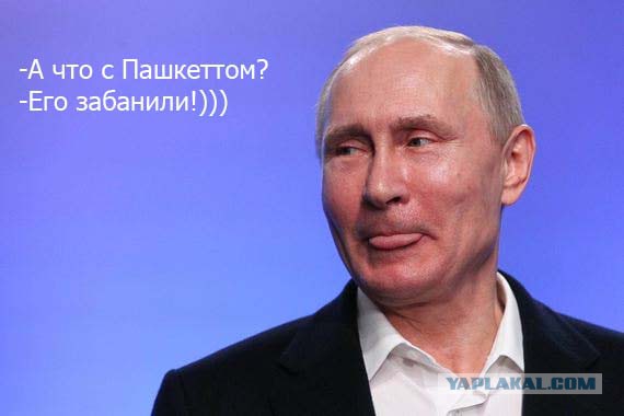 Пашкет, демотиваторы и мемы