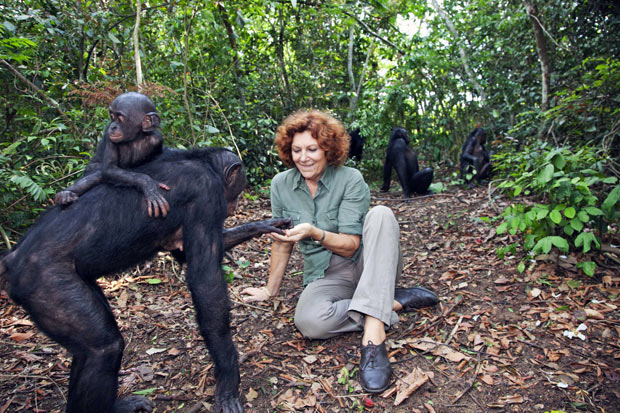 Заповедник Lola ya Bonobo в Конго