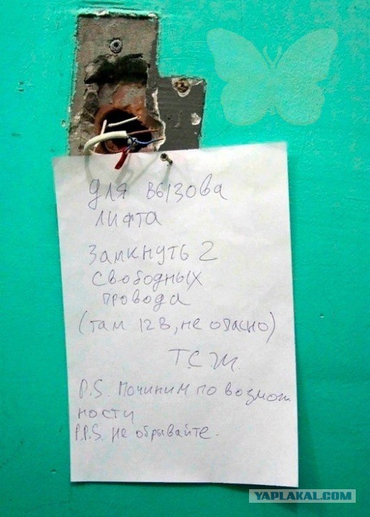 Подборка интересных и веселых картинок 16.10.18