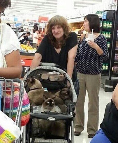 Чудики из социальных сетей