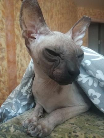 Как я привез домой голую женщину